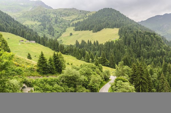 Le blog sur le vin sans alcool : vos accords parfaits