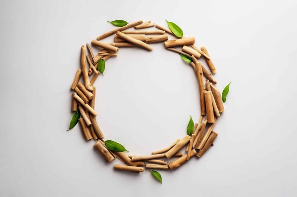 Comment conserver vos aliments plus longtemps avec une machine sous vide ?